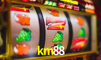 Programa VIP km88