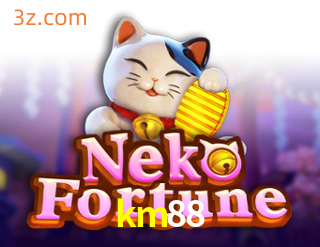 km88 Slot Fortune Neko⭐️Cassinos de videogames brasileiros⭐️km88.com