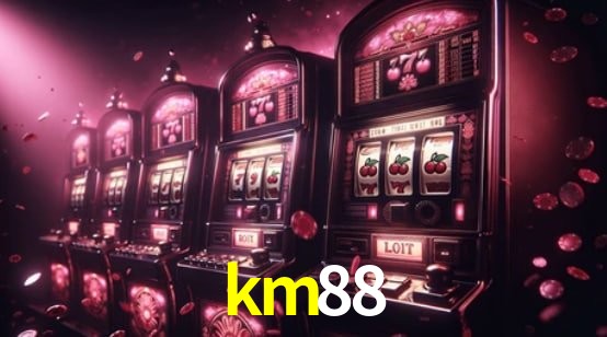 Programa VIP km88